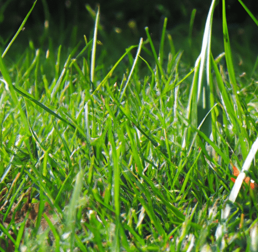 5 powodów dla których warto zainwestować w sztuczną trawę do ogrodu