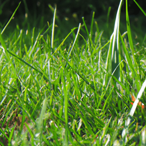 5 powodów dla których warto zainwestować w sztuczną trawę do ogrodu